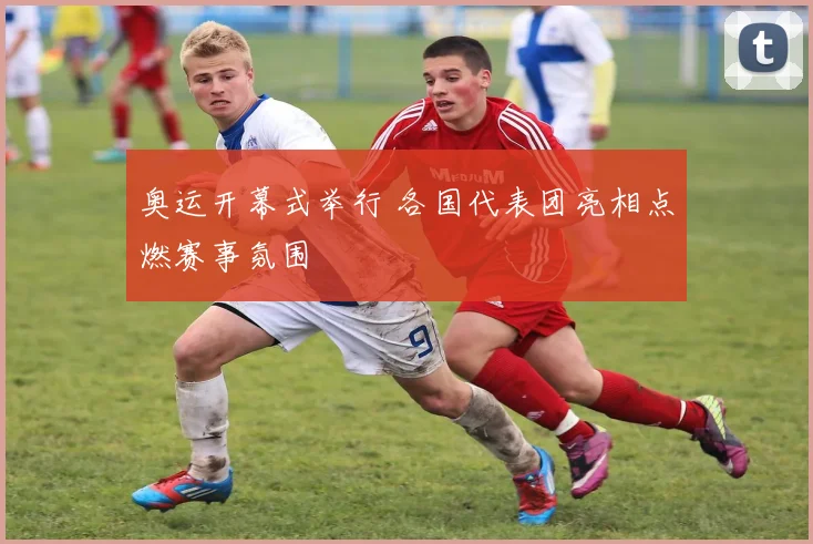 奥运开幕式举行 各国代表团亮相点燃赛事氛围